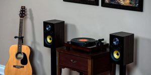 best speakers for vinyl